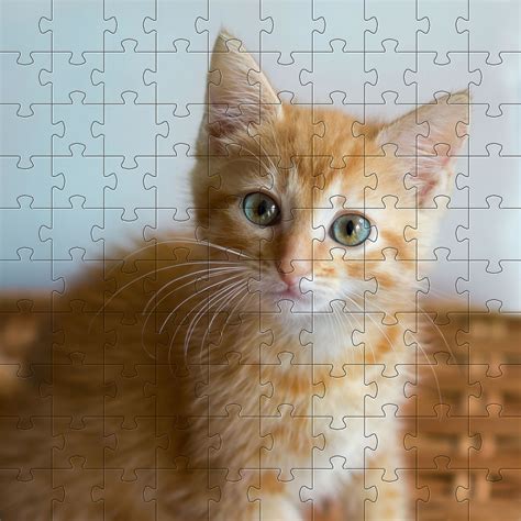 the jigsaw puzzles gratuits.